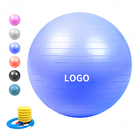 Bola anti modificada para requisitos particulares de la yoga del ejercicio de la explosión del logotipo, bola de la gimnasia rítmica