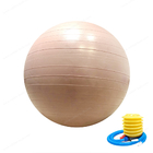 bola de encargo de la yoga del gimnasio del ejercicio del PVC de los 55cm los 65cm los 75cm con la bomba de aire