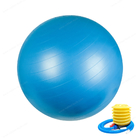bola de encargo de la yoga del gimnasio del ejercicio del PVC de los 55cm los 65cm los 75cm con la bomba de aire