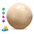Bola de la balanza de la yoga del profesor los 55cm de la estabilidad de Pilates de la salud con la bola del ejercicio de la bola de la aptitud de la bola de la balanza de la yoga de la bomba