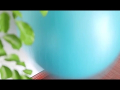 Bola a prueba de explosiones de la yoga de la aptitud los 45cm del Pvc con la bola de la yoga del equipo del ejercicio de la bola del ejercicio de la bomba de aire